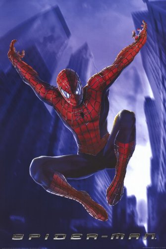 再値下げ❗️スパイダーマン　希少❣️アメリカ映画ポースター　　額縁付き Amazon.co.jp: 映画ポスター 海外版 スパイダーマン (28 cm x 43 cm